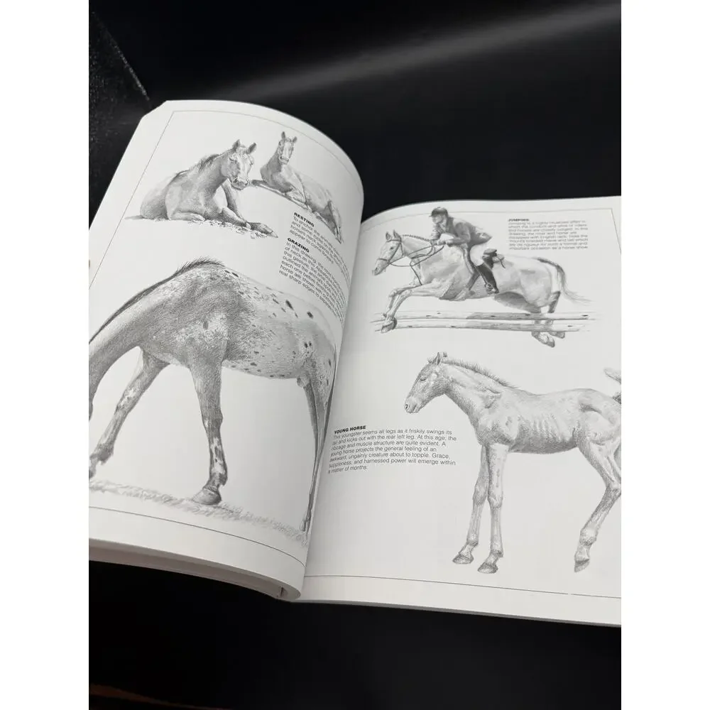 Vintage 1984 Pencil Drawing Techniques by David Lewis Instruction Book